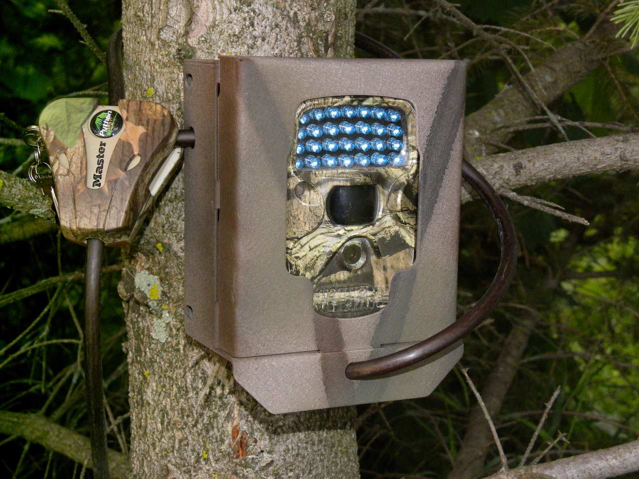 covert trail cameras