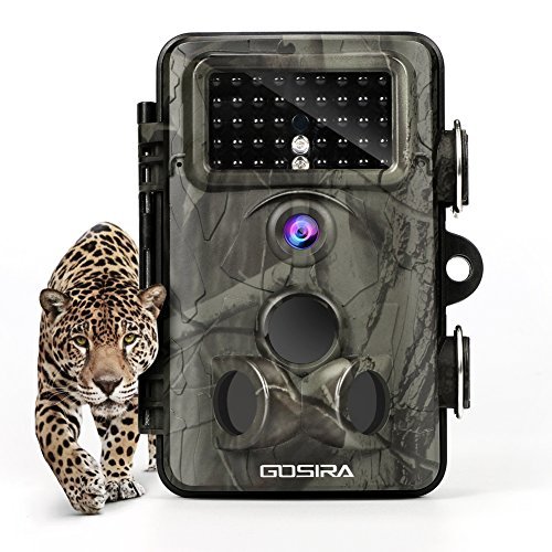 Top 5 Wireless Game Cameras for Hunting Wireless Trail Cameras