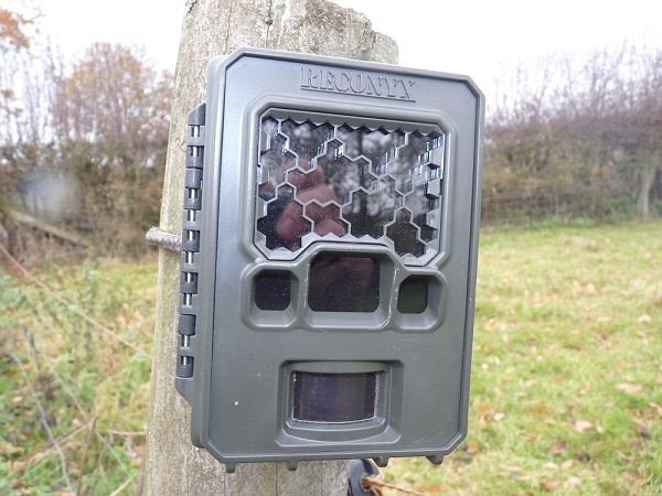 dummy game cameras