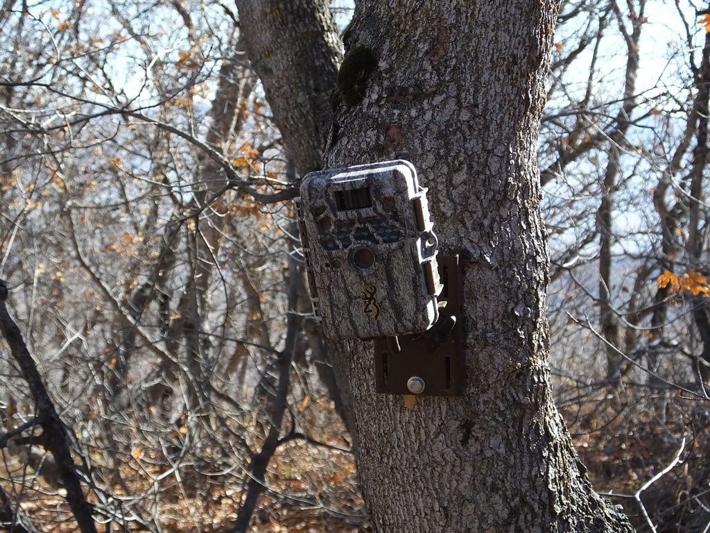 Camouflage a Game Camera