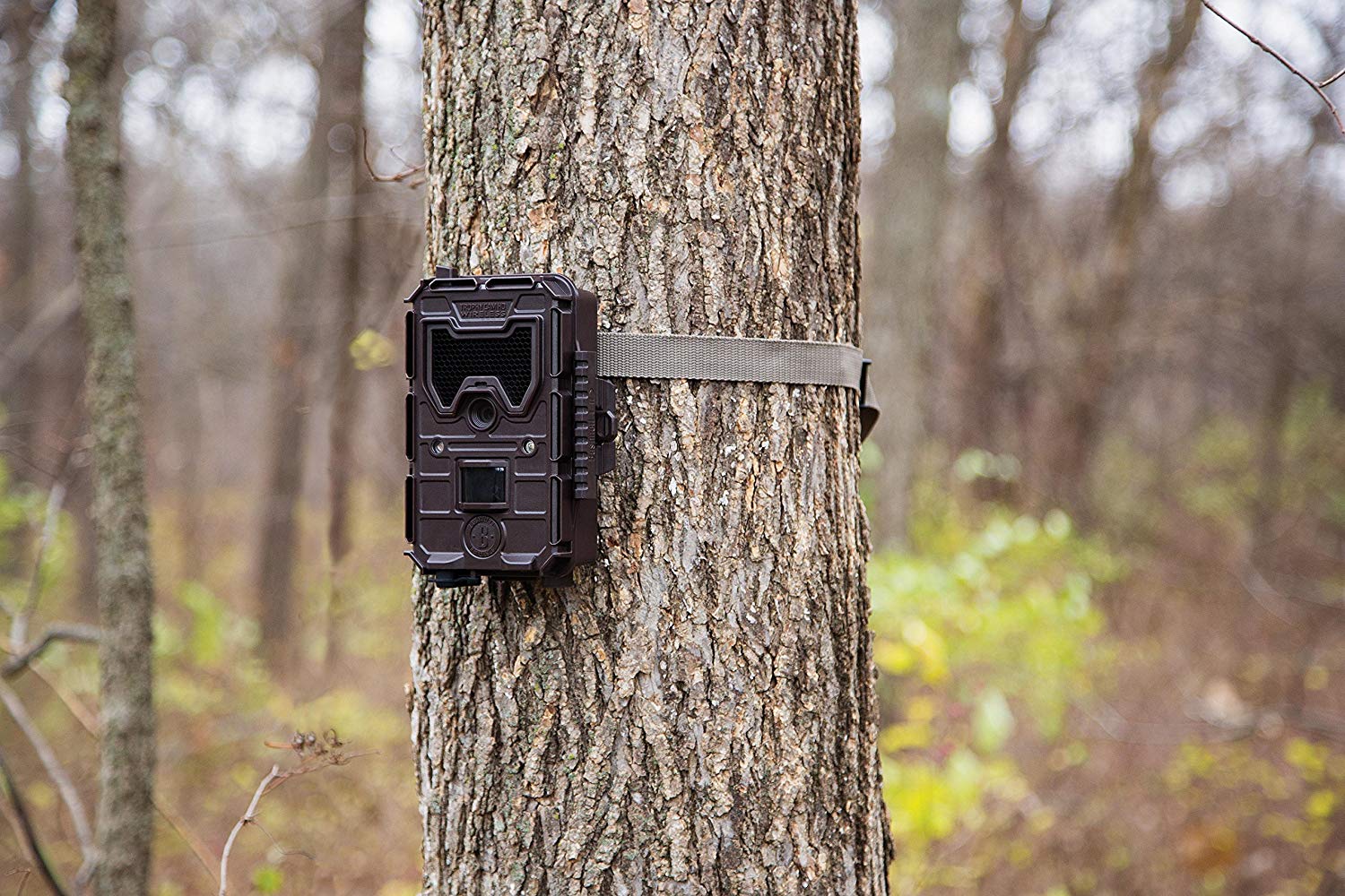 trail camera that alerts your phone