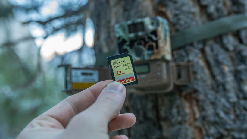 trail camera and SD card
